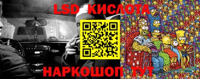 гашик Новозыбков