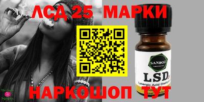 гашик Новозыбков