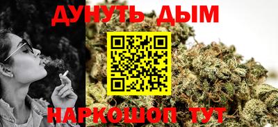 МДПВ Новодвинск