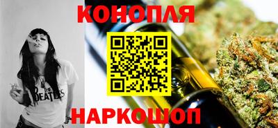 гашик Новозыбков