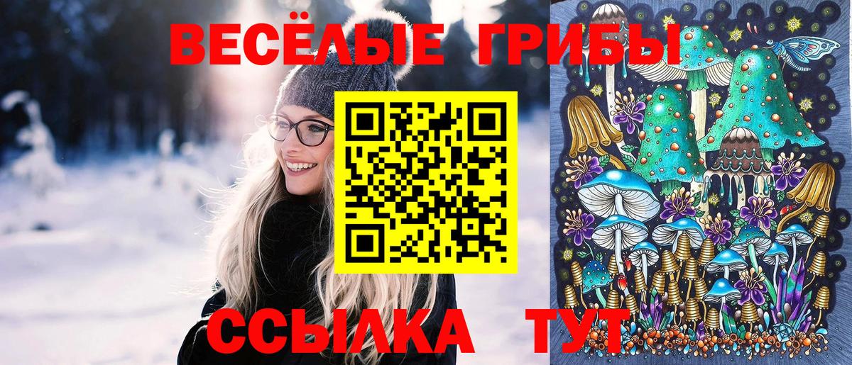 Псилоцибиновые грибы Psilocybine cubensis  Вход с VPN  Советский 